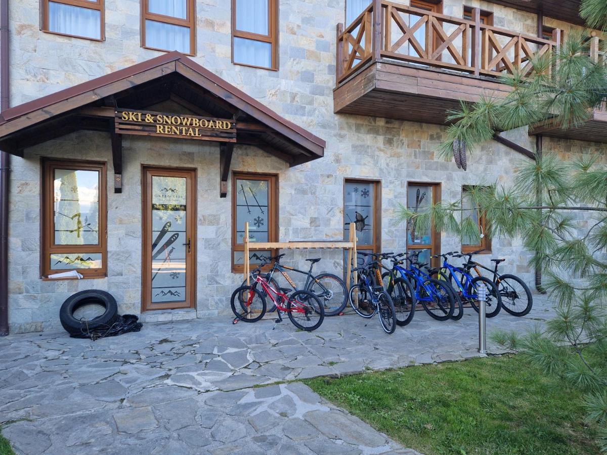Green Life, Bansko, Private Studio C-17 Bagian luar foto
